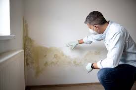 Best Mold Removal for HVAC Installations in Upper Montclair, NJ